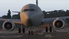 XPlane 11 Boeing 737-800, Flugzeugnase (Quelle: eigenes Bild)
