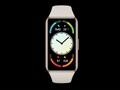 Das Huawei Band 6 Pro kommt mit einem hochwertigen Edelstahl-Gehäuse. (Bild: Huawei)