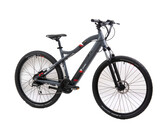 Das E-MTB Telefunken Aufsteiger M922 ist aktuell im Angebot. (Bild: Alternate)