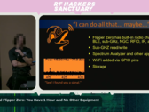 Präsentation von Grey Fox auf der DEFCON 33. (Bildquelle: RF Hackers Sanctuary)