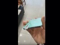 Das Design des iPhone SE 2 könnte doch noch ein paar Überraschungen bereit halten. (Bild: Sparrows News)