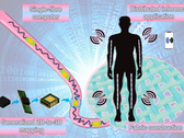 Eine einzige Faser vereint Transistoren, Dioden, Widerstände, Kondensatoren und LEDs in einem flexiblen, waschbaren Strang (Bildquelle: Nano-Micro Letters)